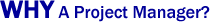 Why A Project Manager?